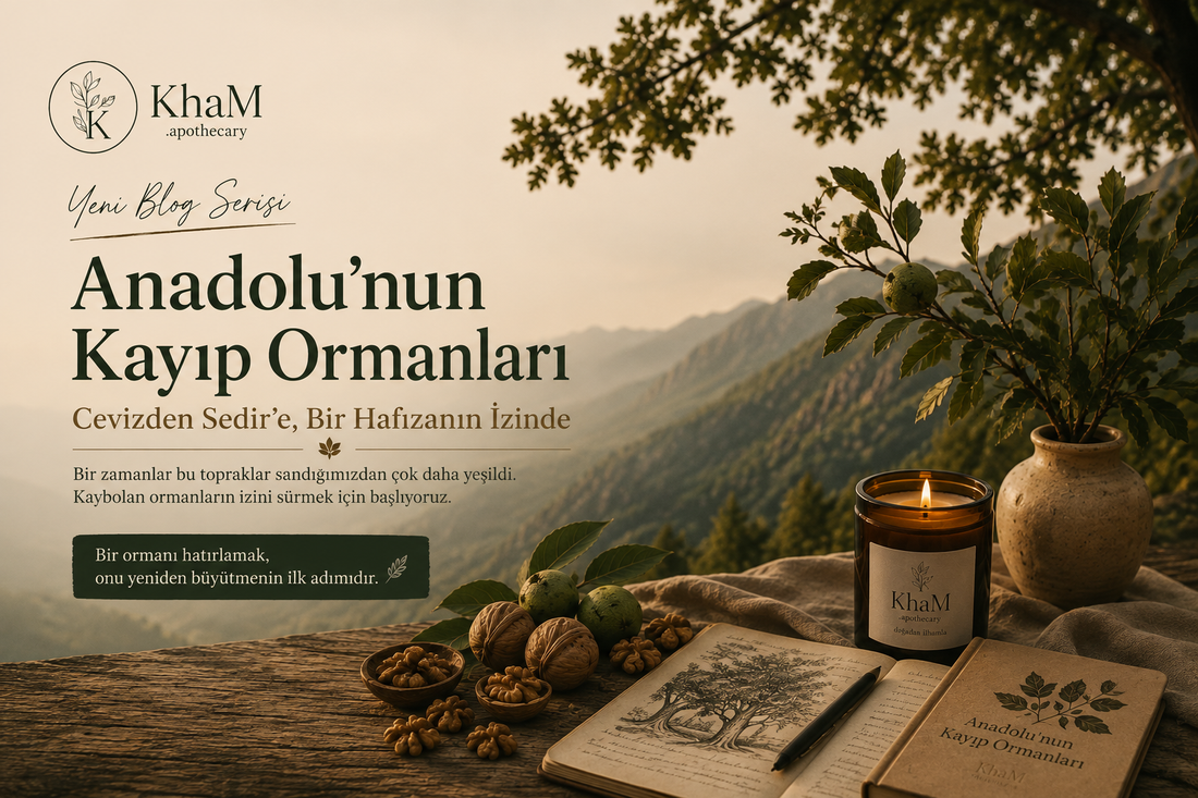 Anadolu'nun Kayıp Ormanları